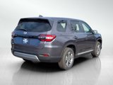 New 2025 Honda Pilot EX-L image 5