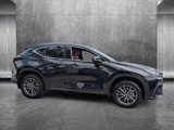 Used 2025 Lexus NX 350 AWD image 4