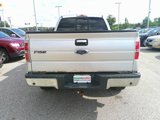Used 2014 Ford F150 XLT w/ Equipment Group 302A Luxury image 2