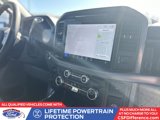 New 2025 Ford F150 XLT w/ Equipment Group 302A MID image 3