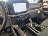 New 2025 Ford F150 XLT w/ Equipment Group 302A MID image 5