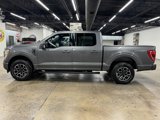 Used 2021 Ford F150 XLT w/ Equipment Group 301A Mid image 4