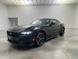 Used 2024 Ford Mustang Coupe image 3