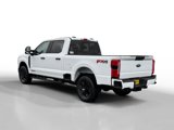 New 2025 Ford F250 XL image 3