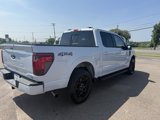 Used 2025 Ford F150 XLT w/ Equipment Group 302A MID image 6