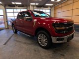 New 2025 Ford F150 XLT w/ Equipment Group 303A High image 1