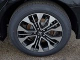 New 2025 Honda Odyssey Elite image 5