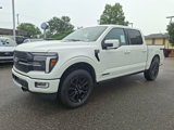 New 2025 Ford F150 Platinum image 3