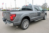 New 2025 Ford F150 XLT w/ Equipment Group 303A High image 5