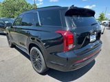 New 2025 Hyundai Palisade Calligraphy image 4
