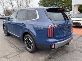 New 2025 Kia Telluride EX image 3