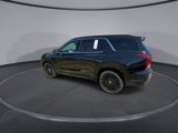 New 2025 Hyundai Palisade Calligraphy image 6
