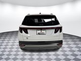 New 2025 Hyundai Tucson Limited image 4