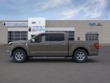 New 2025 Ford F150 XLT w/ Equipment Group 302A MID image 3