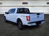 Used 2019 Ford F150 XLT w/ Equipment Group 302A Luxury image 6
