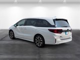 New 2026 Honda Odyssey Elite image 3