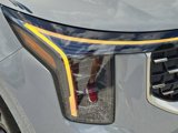 New 2026 Kia Carnival SX image 5