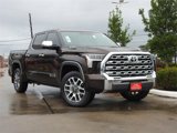 New 2025 Toyota Tundra 1794 Edition image 2
