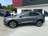 Used 2023 Ford Escape Platinum image 2