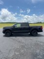 New 2025 Ford F150 STX w/ STX Black Appearance Package image 2