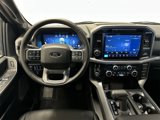 New 2025 Ford F150 XLT w/ Equipment Group 303A High image 3