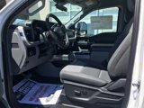 New 2025 Ford F350 XLT image 5