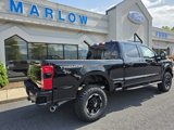 New 2025 Ford F350 Platinum image 4