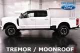 Used 2025 Ford F250 XLT w/ Black Appearance Package image 4