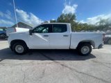 Used 2020 Chevrolet Silverado 1500 W/T w/ WT Fleet Convenience Package image 4