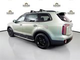 New 2025 Kia Telluride SX Prestige X-Pro image 5