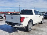 New 2025 Ford F150 XLT w/ Equipment Group 303A High image 5