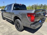 New 2025 Ford F150 STX w/ STX Black Appearance Package image 5