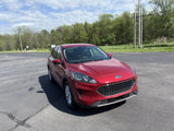 Used 2020 Ford Escape SE image 4