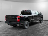 New 2025 Ford F250 Platinum image 5