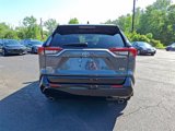 Used 2025 Toyota RAV4 XSE image 5