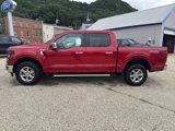 New 2024 Ford F150 XLT w/ Equipment Group 302A MID image 2