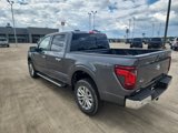 New 2025 Ford F150 XLT w/ Equipment Group 302A MID image 5
