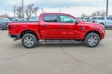 New 2025 Ford Ranger XLT w/ Technology Package image 6