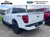 New 2025 Ford F150 XLT w/ Equipment Group 302A MID image 5