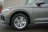 Certified 2024 Audi Q5 2.0T Premium image 4