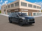New 2025 Hyundai Palisade XRT image 2