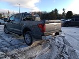 New 2025 Ford F150 XLT w/ Equipment Group 303A High image 6