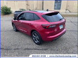 Used 2024 Ford Escape ST-Line w/ Tech Pack #1 image 5