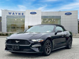 Certified 2023 Ford Mustang Premium image 2