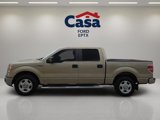 Used 2011 Ford F150 XLT w/ XLT Convenience Pkg image 5