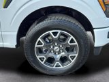 Used 2024 Ford F150 STX image 4