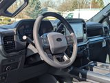 New 2025 Ford F150 STX image 5