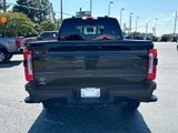 New 2025 Ford F250 Platinum image 4