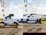 New 2025 Ford F250 Platinum image 4