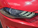 Used 2023 Ford Mustang Premium image 4